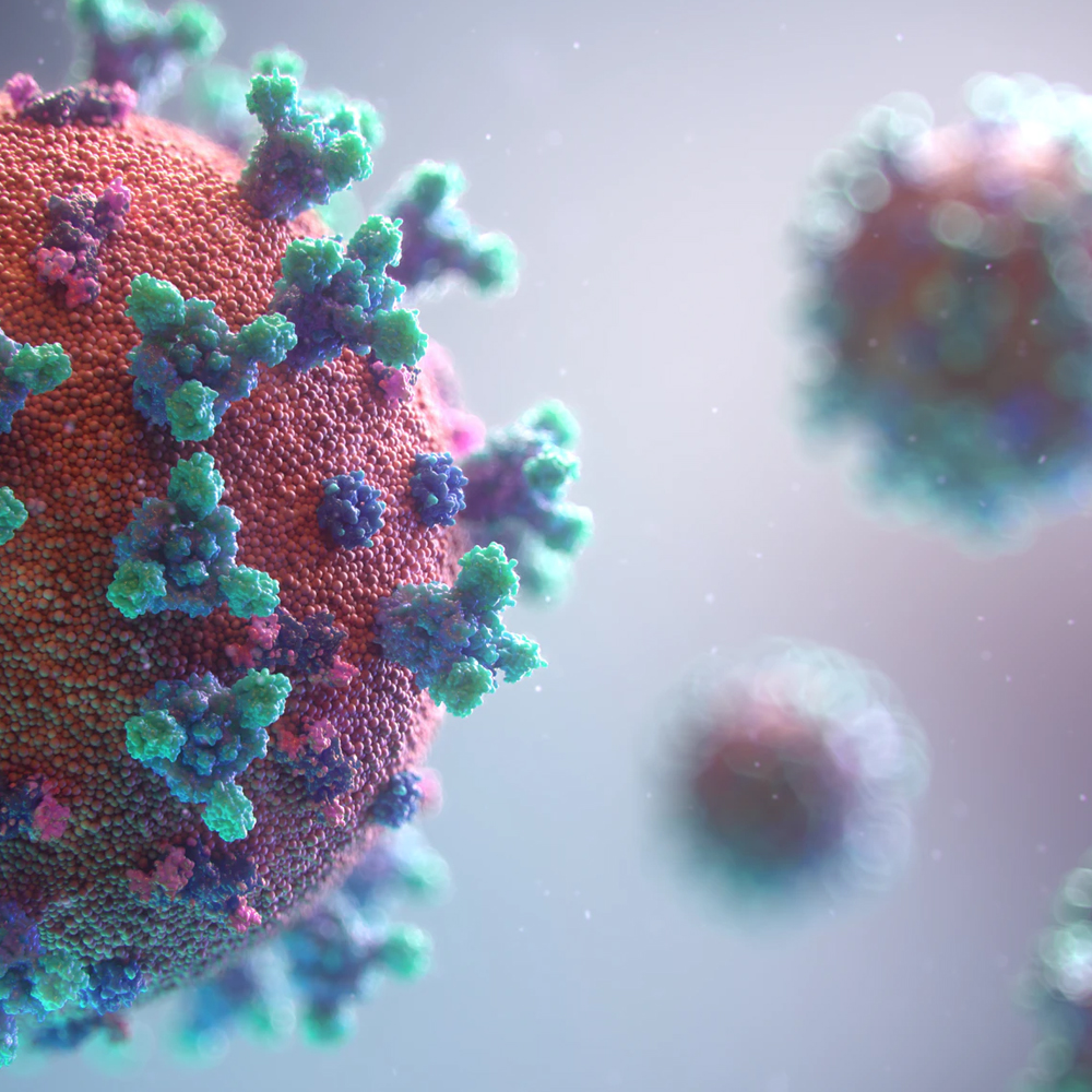 XEAL implanta un protocolo para prevenir el contagio de coronavirus